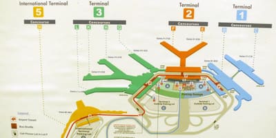 Mappa O La Lepre